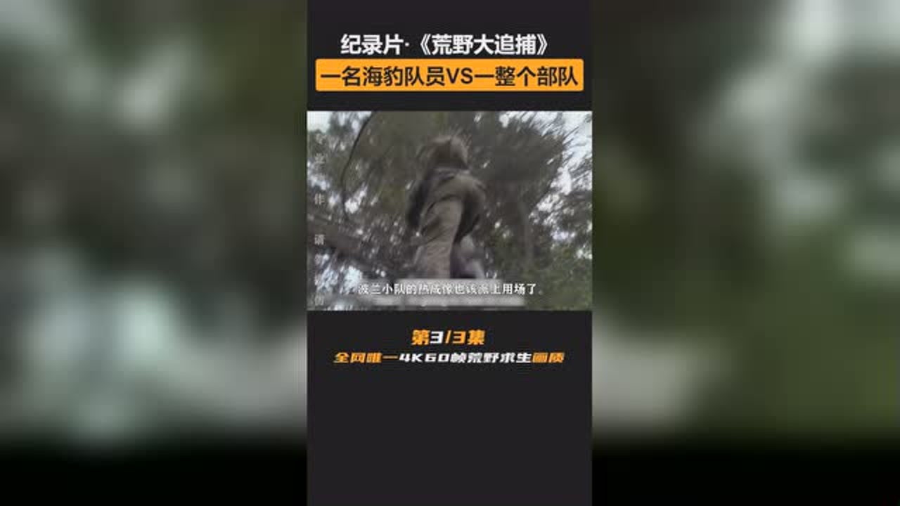 荒野大追捕 波兰【第3集】 乔尔躲避拥有热成像的小队