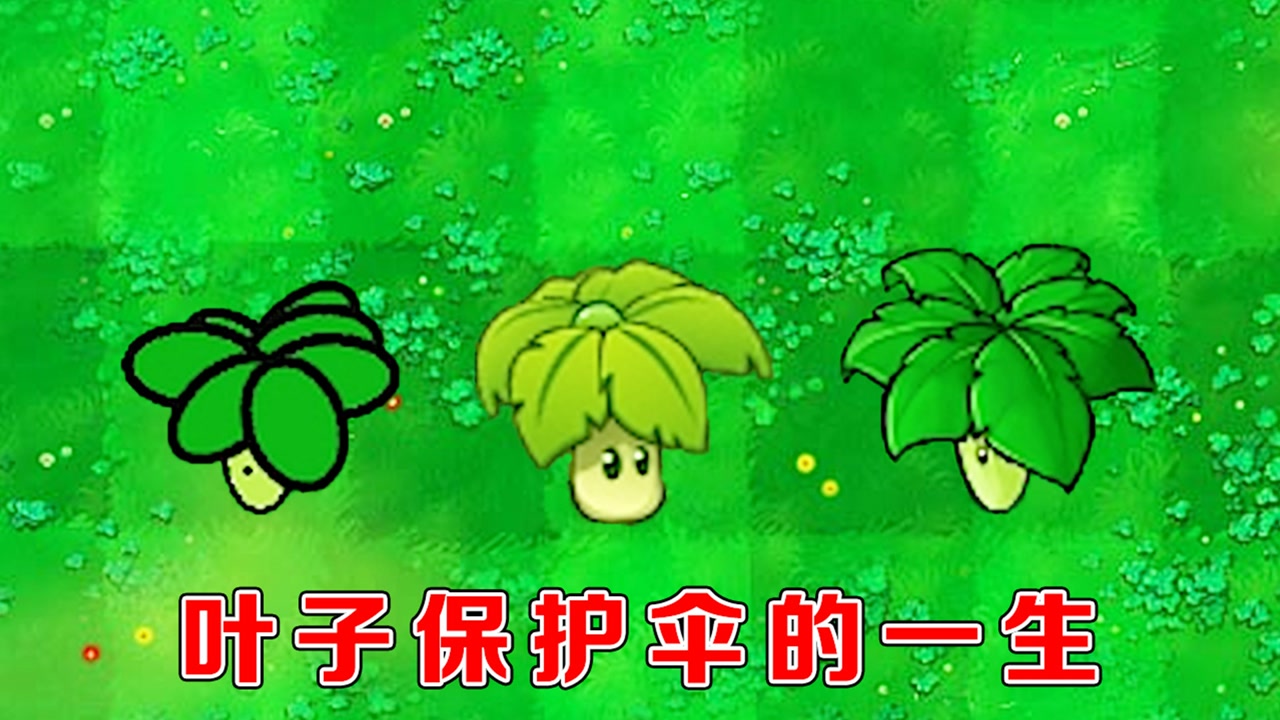 植物大战僵尸:叶子保护伞的成长史!