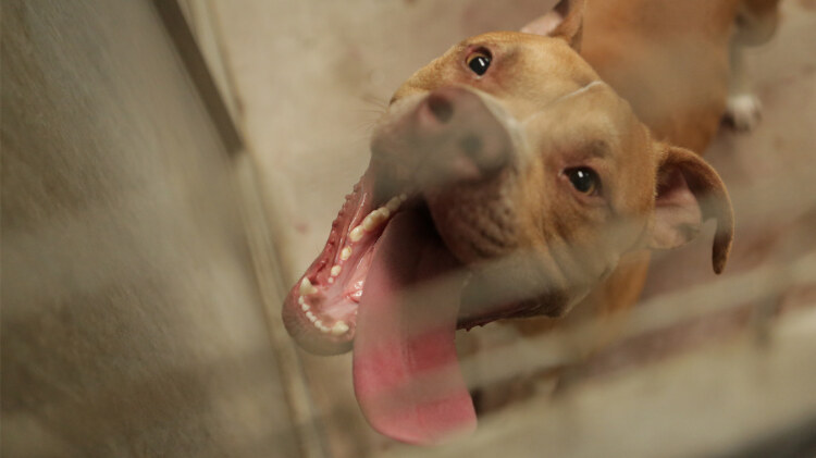 女帝老婆赖上我