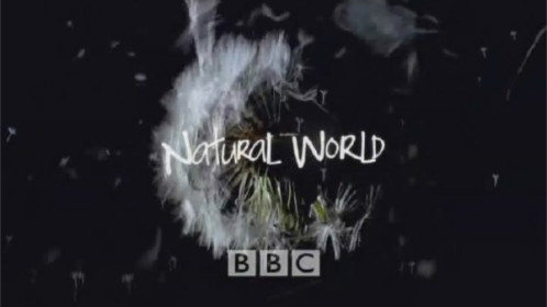 BBC自然世界-封面1