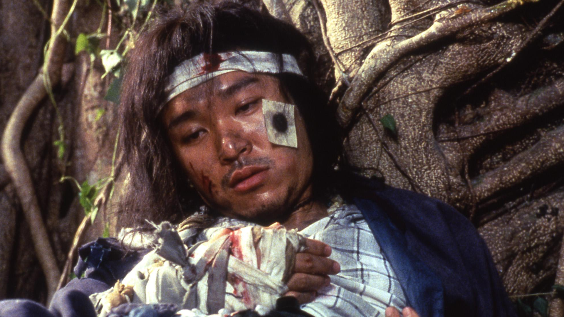 武状元苏乞儿-封面4