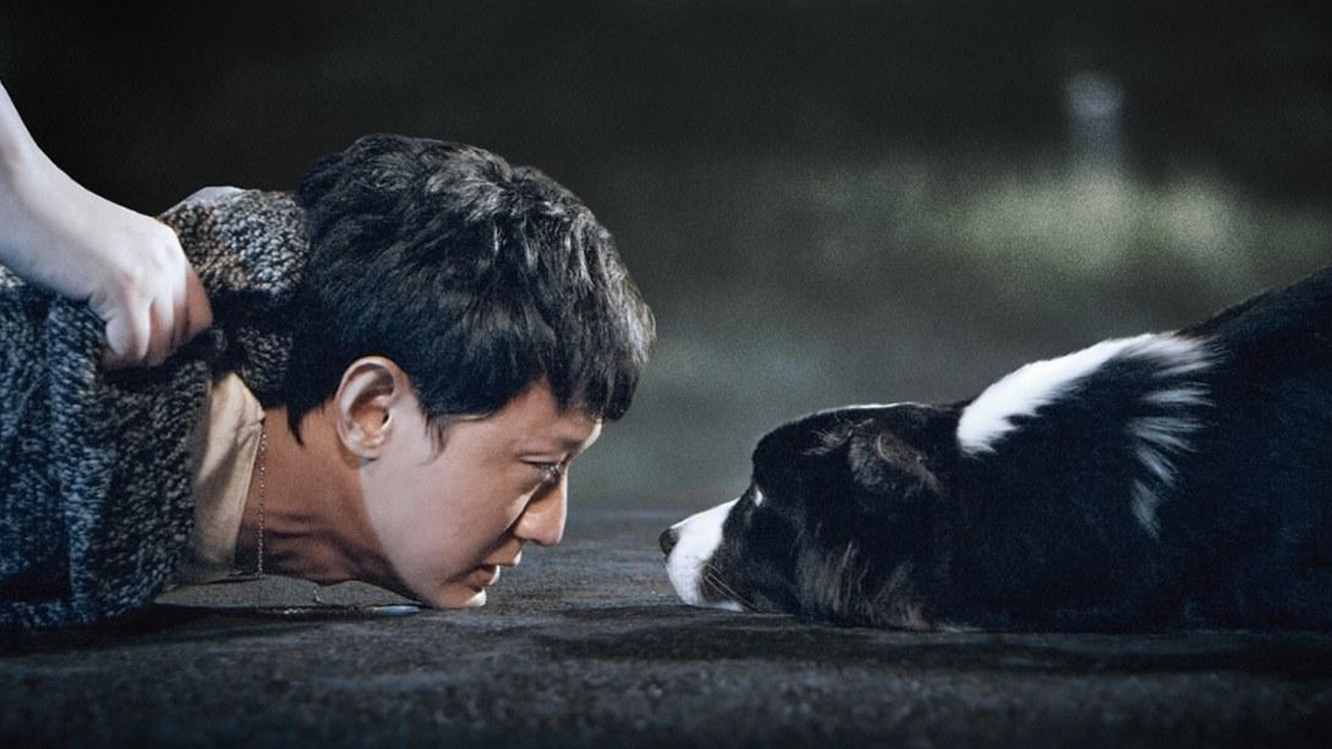犬爱-封面3
