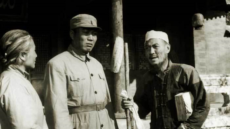 我的青春小鸟一去再回来