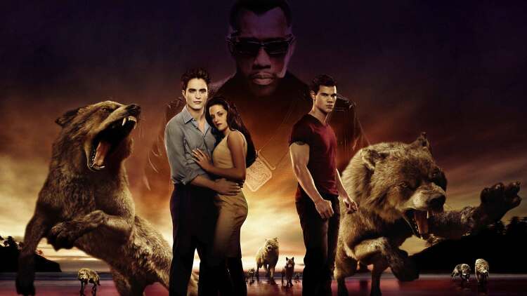 爱在初夏的深情告白