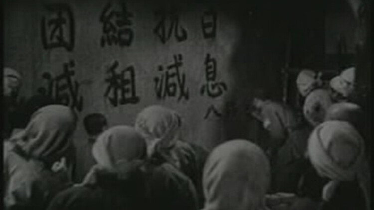 深圳的宠物市场：选择众多，如何挑选？