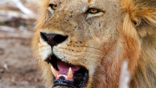 完蛋吧我的七夕：甜蜜收尾