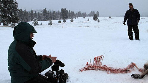 下山后我帮总裁重振雄风