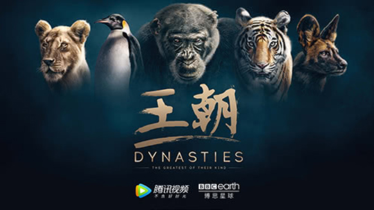 王朝[英语]-封面1