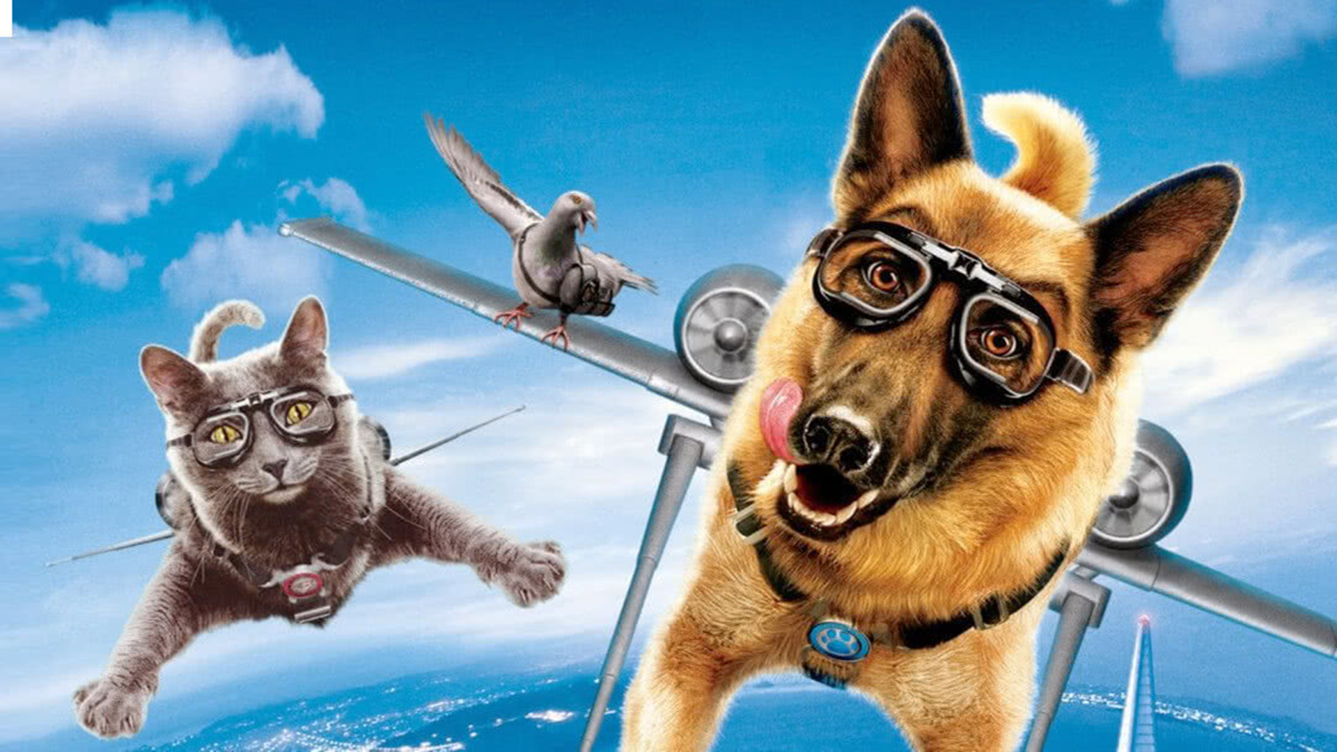 猫狗大战2