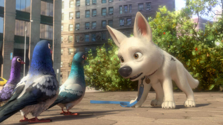 她的最后证词的终极揭示