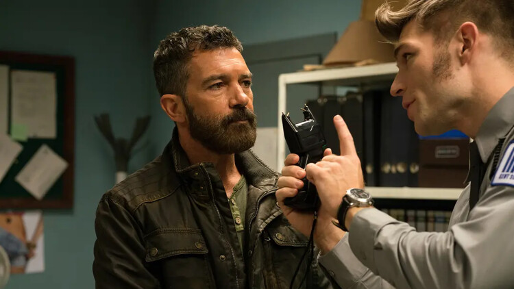 《高兴的酸甜苦辣》最新选集