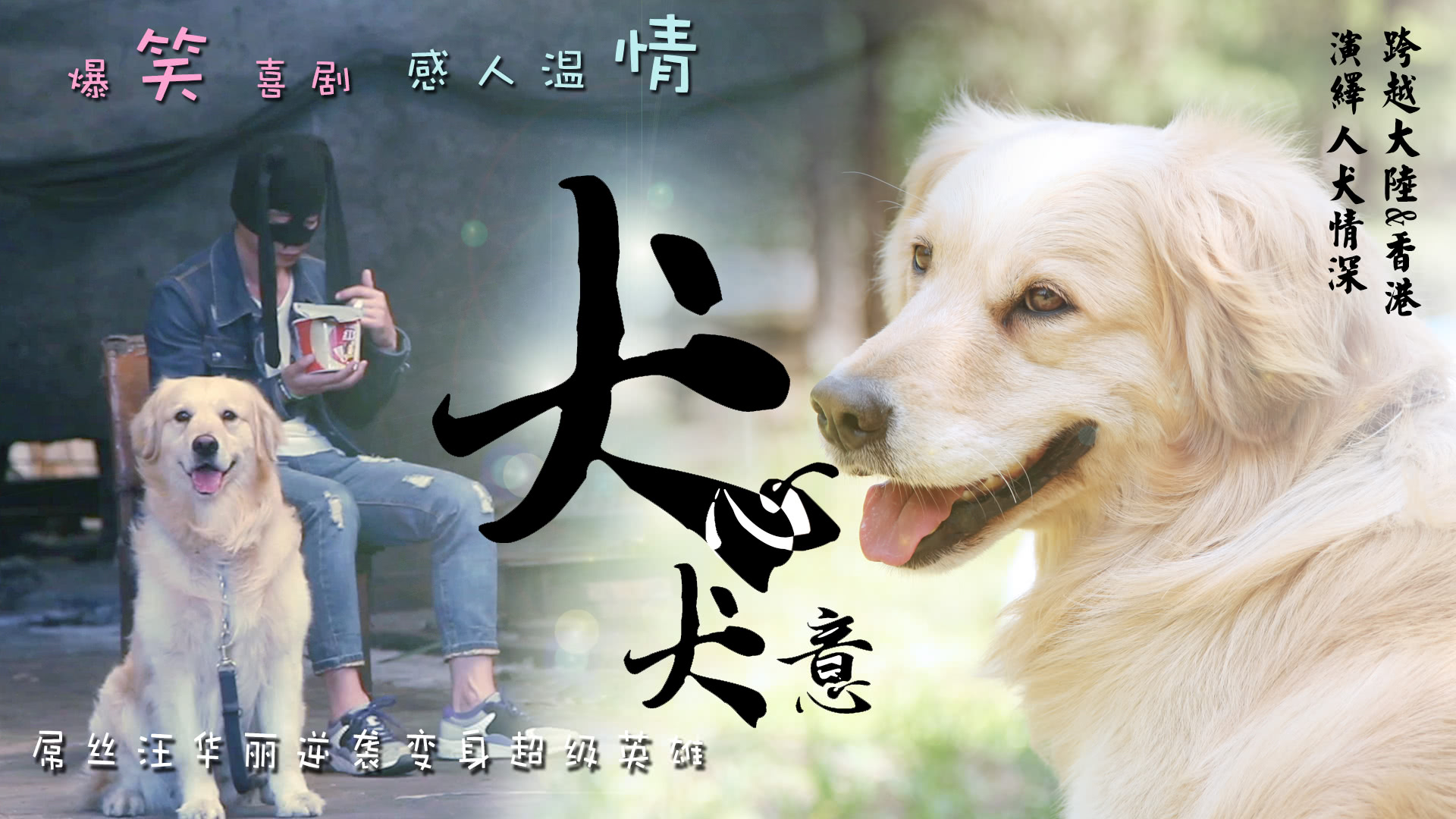 犬心犬意-封面1