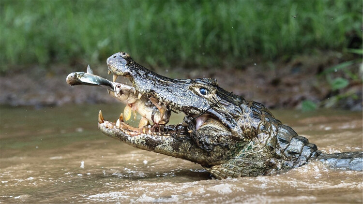 饭BlessYou第二季