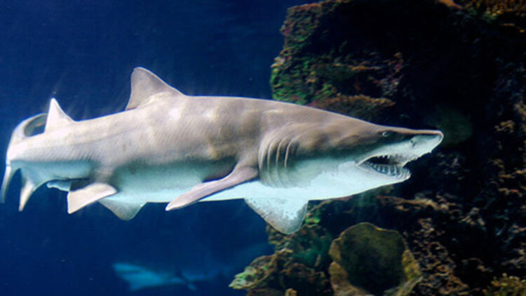 念念勿忘：心意的确认