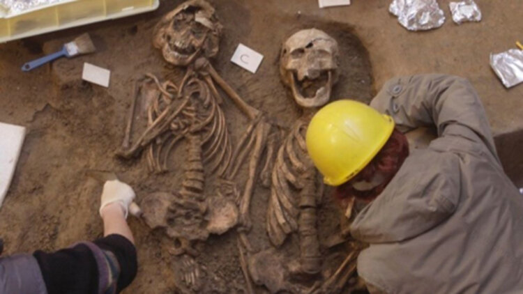 重生后在死对头怀里肆意撒娇