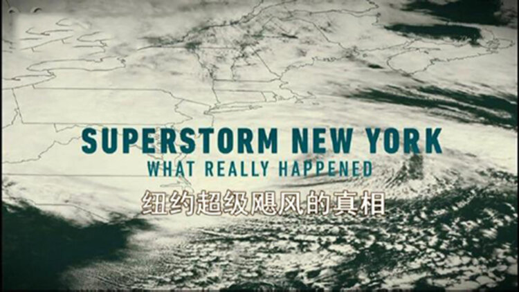 禁欲男神又宠又撩