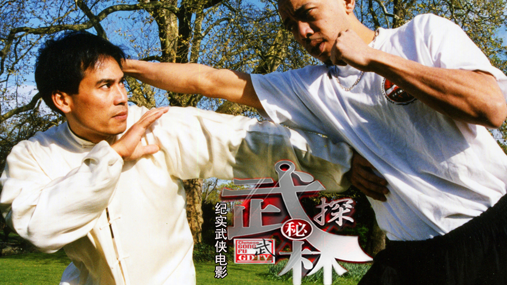 武林探秘