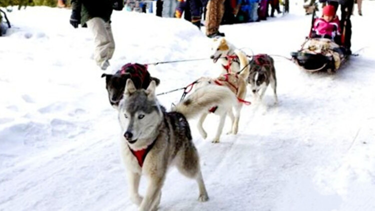 决胜反击——胜利与成长