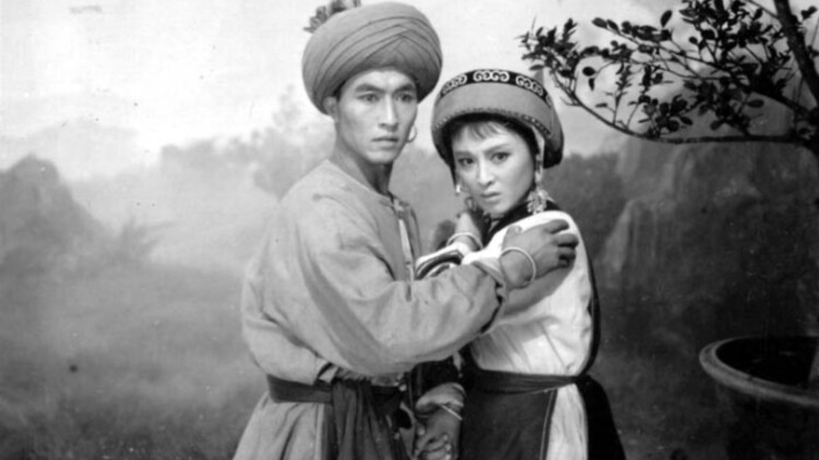 我的四个限定继承人