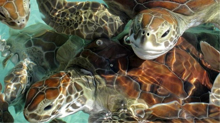 爱的深沉：超越浪漫的平凡生活