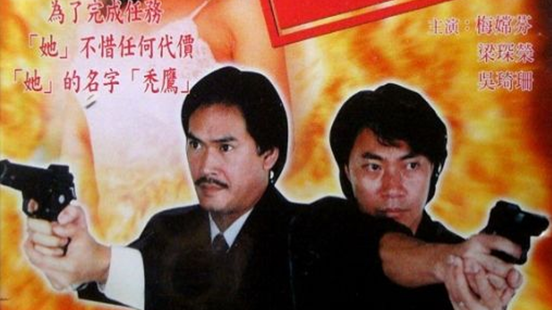卧底秃鹰