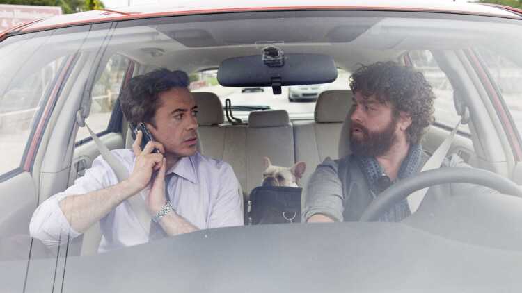 枪炮与玫瑰第一季