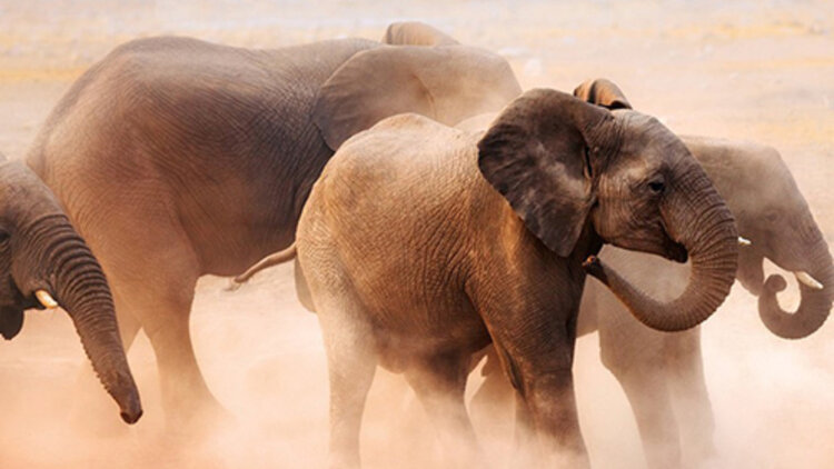 鸿雁南飞·离别的秋日