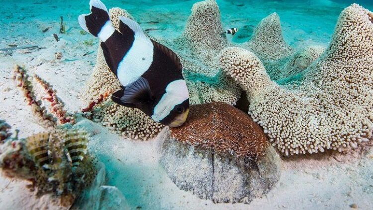 重生2000之我用科技拯救全球的创新突破