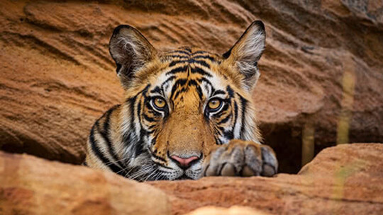 合理配合队友，增强团队默契