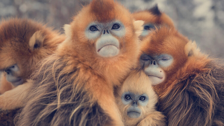 判断肉类是否变质的常见方法