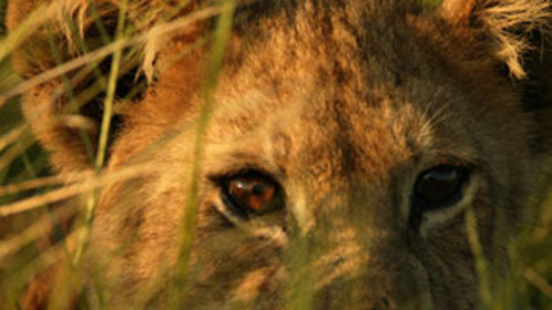 向着星辰的长征：技术与突破