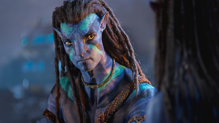 《如果花知道》_免费在线观看