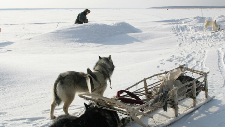 《家和才能万事兴》的理解与妥协