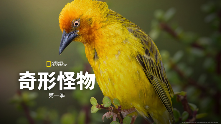 这个反派我不干了