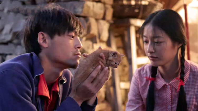 功夫梦融合之道