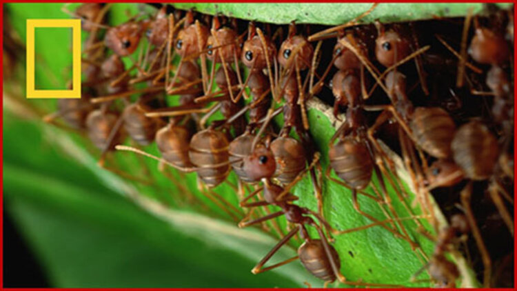 何处是归宿的自我探索