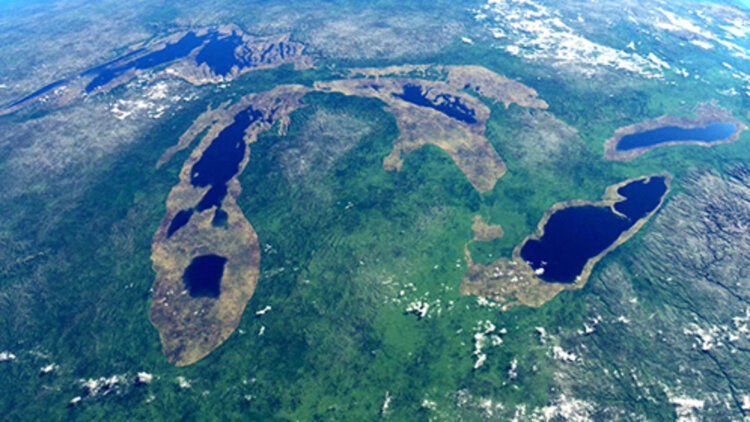 自然去味：清新车内空气的天然方法