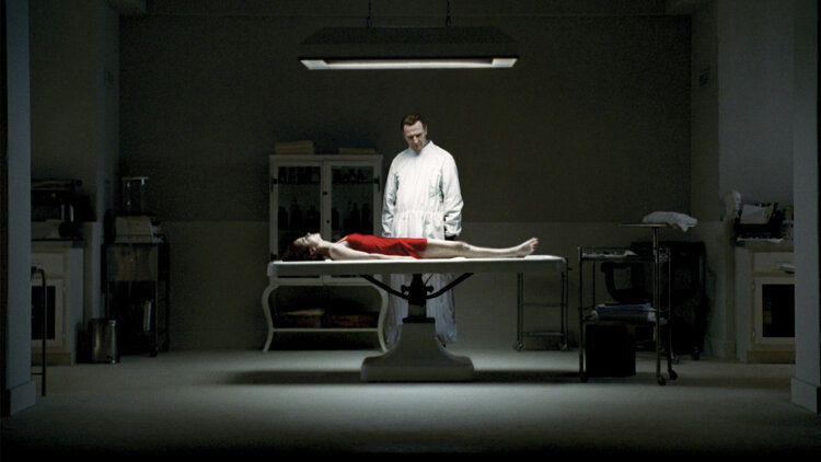 真千金归来后：事业崛起与个人成长