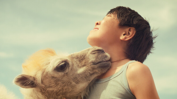 五一出行小贴士：避开人流，玩得更尽兴