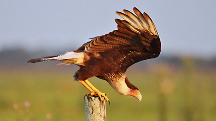 《星海怎知我心意》命运考验