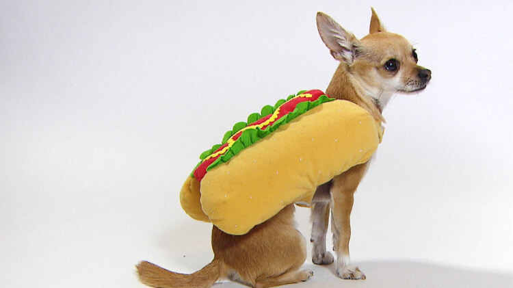 燃娇——初遇的火花与命运交织