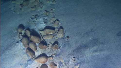 什么时候该去看医生？