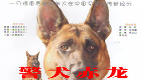 警犬赤龙-封面1