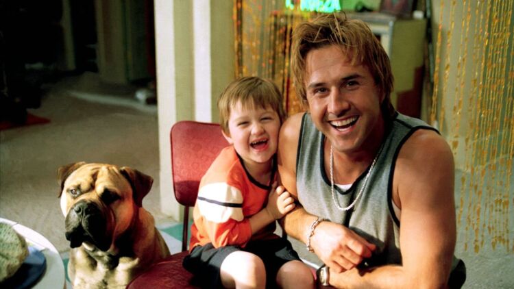 离婚后她该死的有魅力——旧情与新意交织