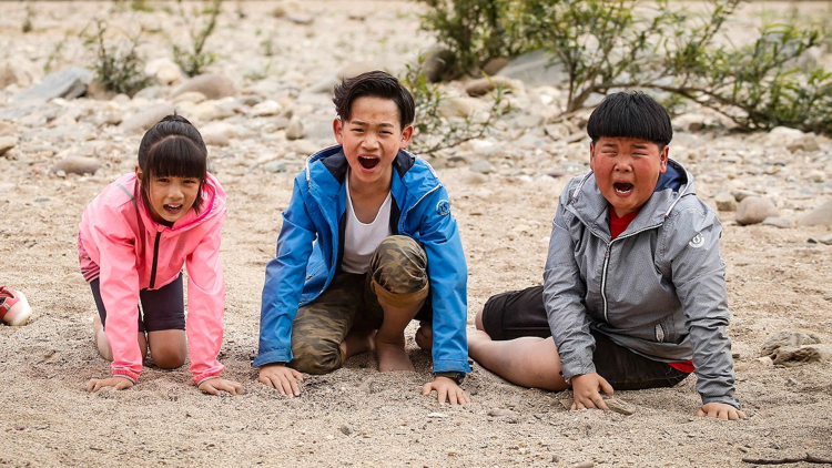 我和妈妈的最后一年