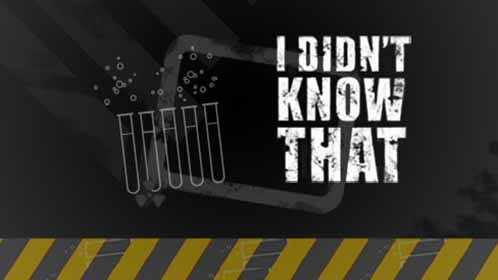 锦鲤你也敢裁的初遇惊险