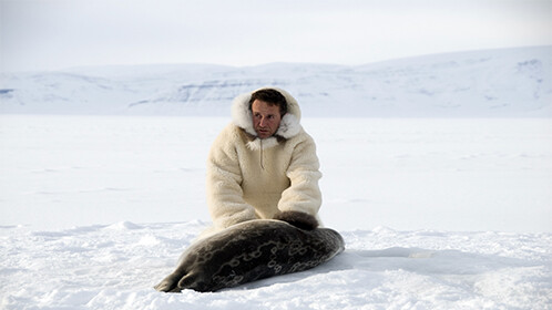 天竺鼠车车学车篇