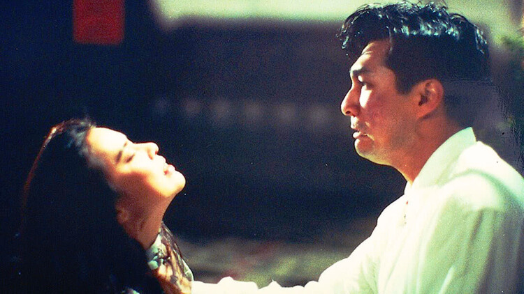 奈何沈总他太撩