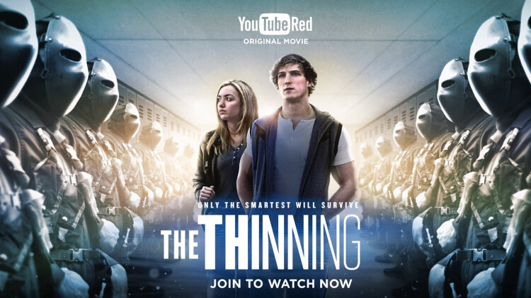 《重逢后我们闪婚了》最新选集