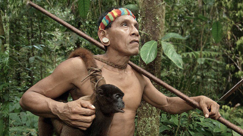 第9期（上）：实拍热带雨林抓猴子现场